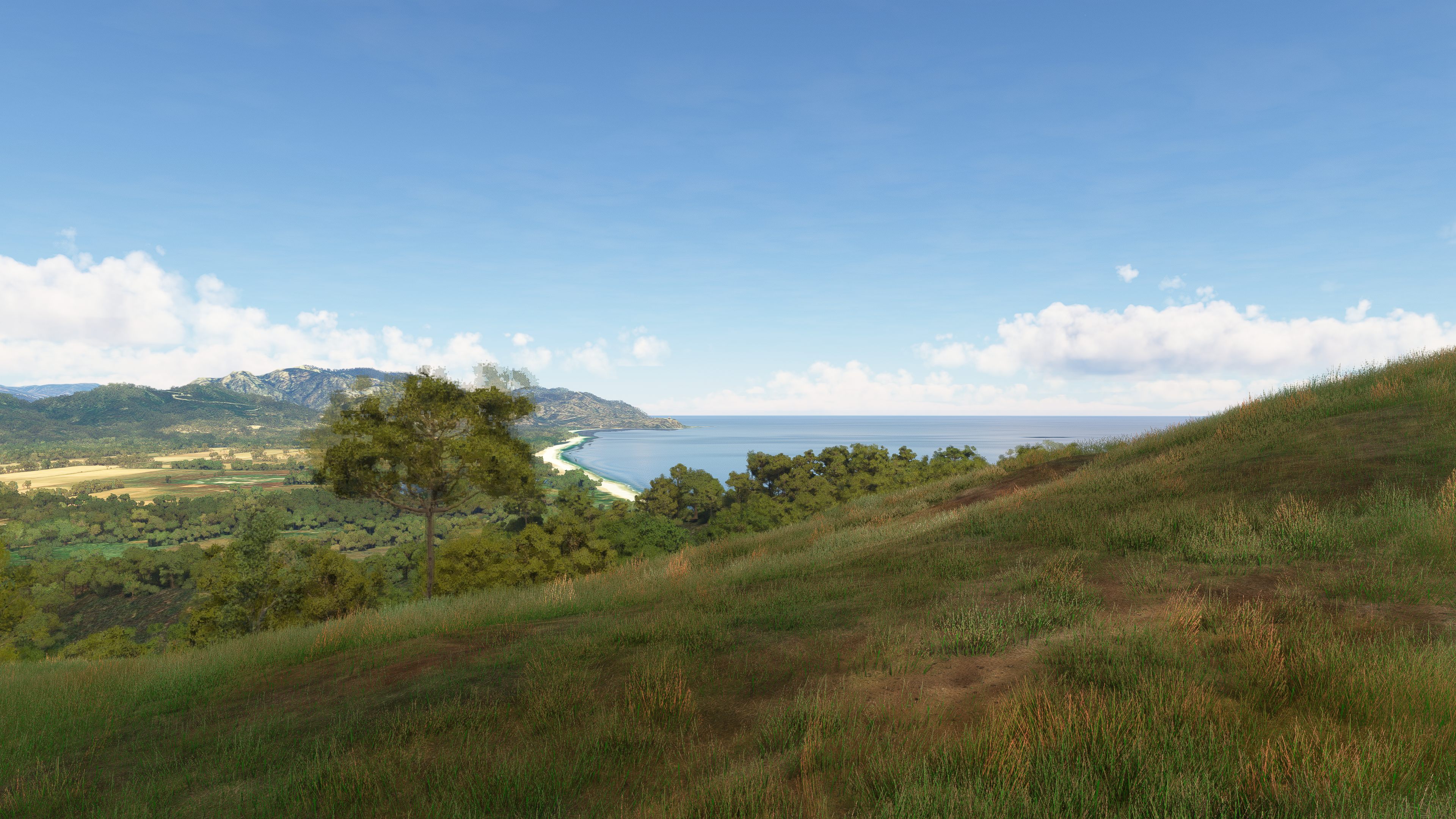 Microsoft Flight Simulator 2024 - Imagen 11